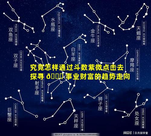 究竟怎样通过斗数紫微点击去探寻 🐎 事业财富的趋势走向
